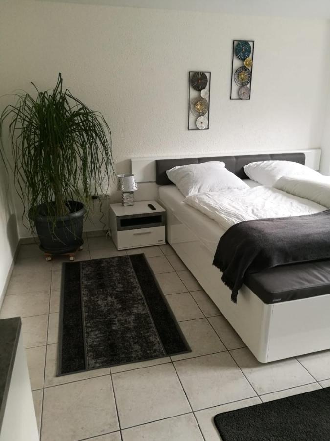 Ferienapartment "Vier Pfoten" In 코르바흐 외부 사진
